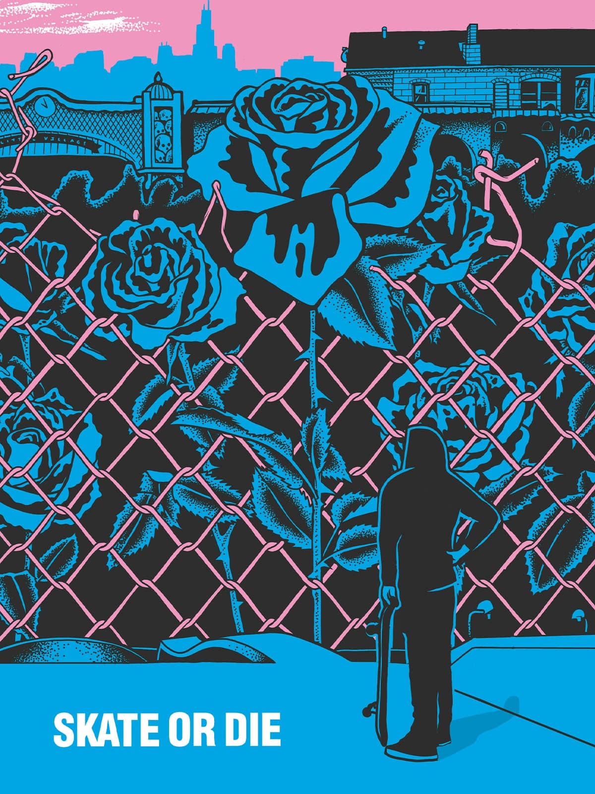 Skate Or Die