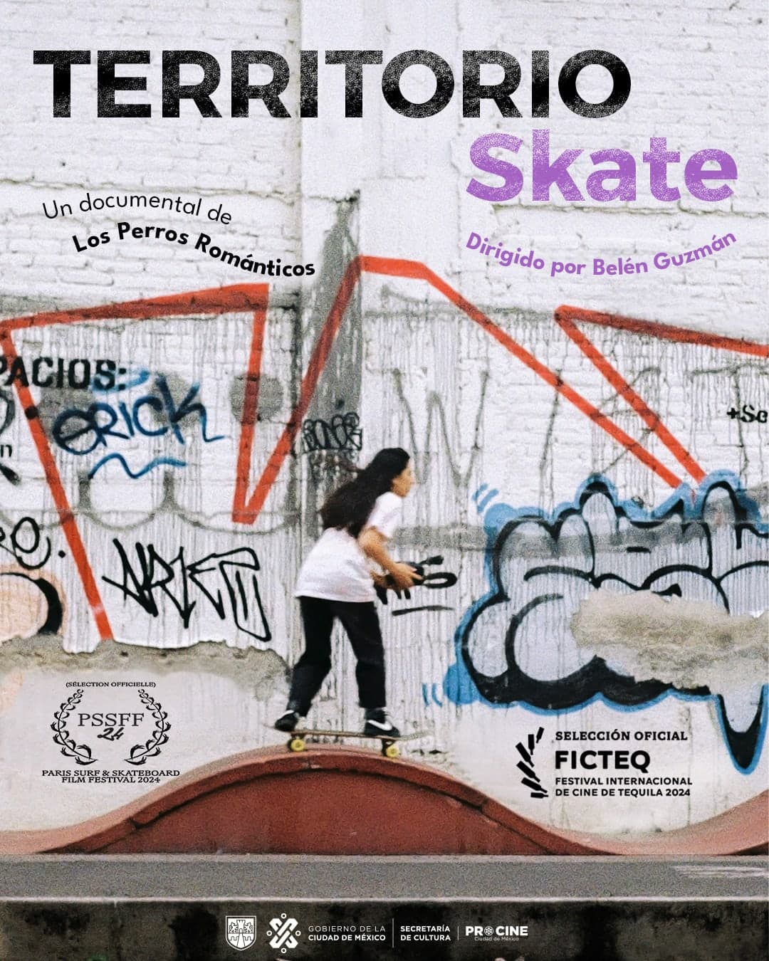 Skate Territory